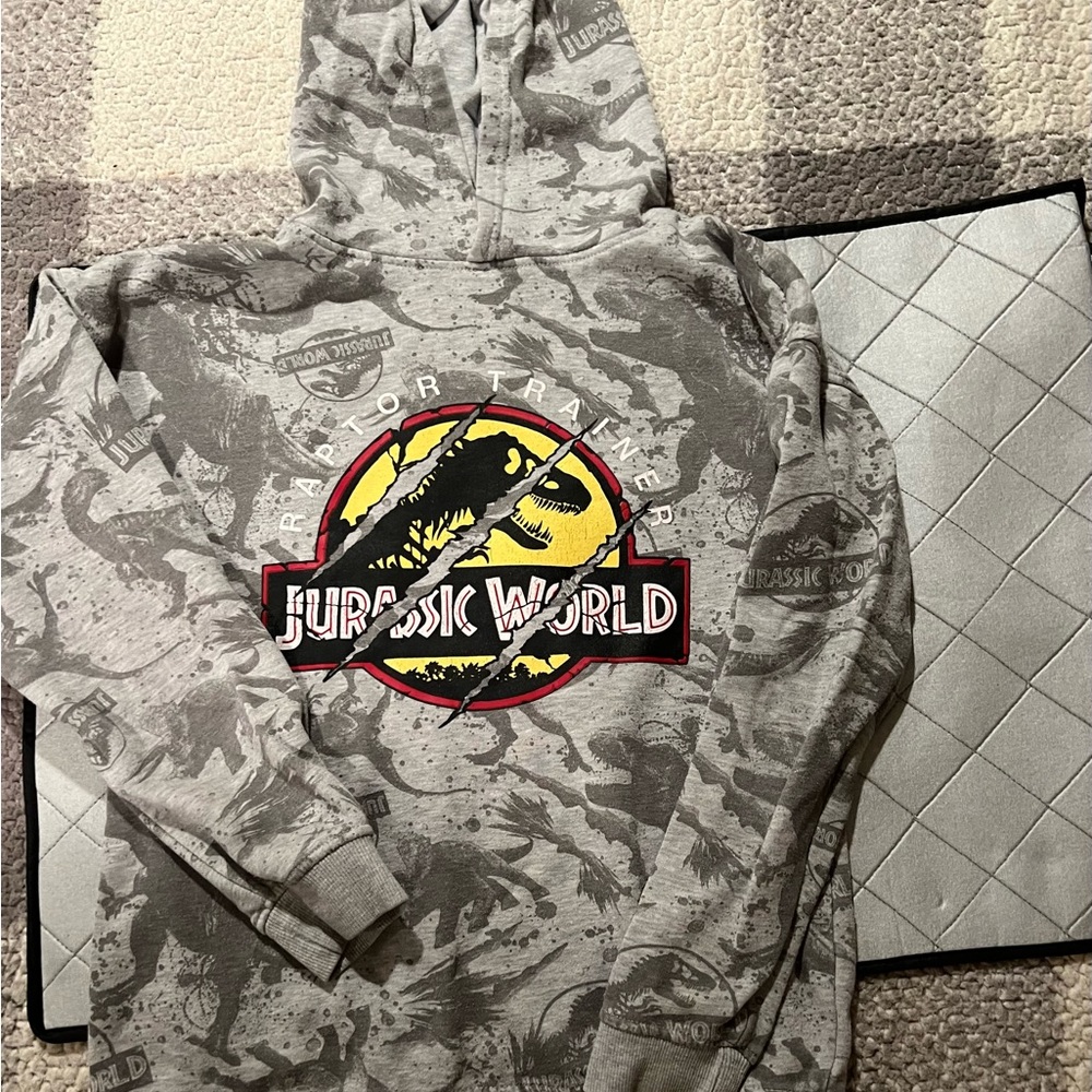 Big boys size 11-12 years Hoodie Bundle